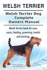 Welsh terrier. welsh for sale  Delivered anywhere in UK