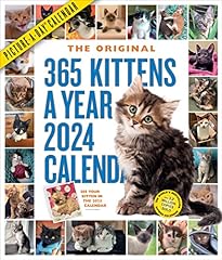 365 kittens year for sale  Delivered anywhere in USA 