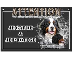 Pets easy plaque d'occasion  Livré partout en France
