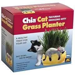 Chia pet kitty for sale  Delivered anywhere in USA 