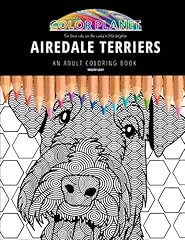 Airedale terriers adult for sale  Delivered anywhere in UK