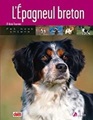 épagneul breton d'occasion  Livré partout en France