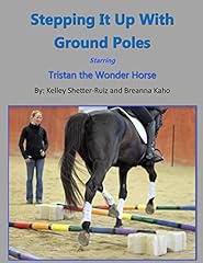 Stepping ground poles for sale  Delivered anywhere in UK