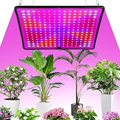 Lampada led crescita usato  Spedito ovunque in Italia 
