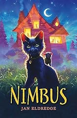 Nimbus witch cat for sale  Delivered anywhere in UK