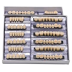 168teeth dental synthetic for sale  Delivered anywhere in USA 