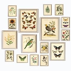 Decor large 11x14 for sale  Delivered anywhere in USA 