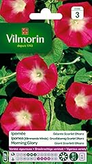 Vilmorin ipomée scarlet d'occasion  Livré partout en France