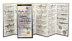 Ultimate guide sharks for sale  Delivered anywhere in USA 