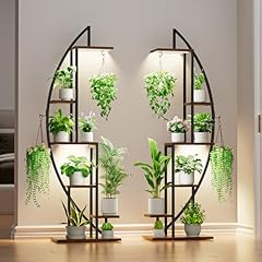 Bacekoll plant stand for sale  Delivered anywhere in USA 