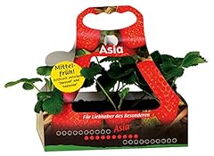 Erdbeere sorte asia gebraucht kaufen  Wird an jeden Ort in Deutschland