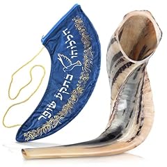 Sacred ram horn for sale  Delivered anywhere in USA 