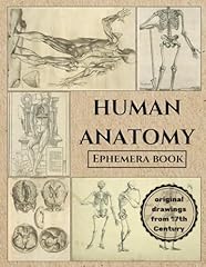 Vintage human anatomy for sale  Delivered anywhere in UK