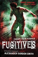 Fugitives escape furnace for sale  Delivered anywhere in USA 