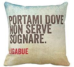 Pillow cuscino personalizzato usato  Spedito ovunque in Italia 