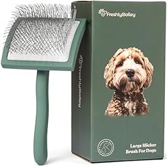 Freshly bailey doodle for sale  Delivered anywhere in USA 