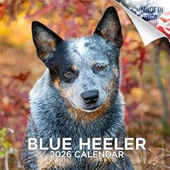 2025 2026 blue for sale  Delivered anywhere in USA 