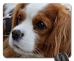 Mousepad chien cavalier d'occasion  Livré partout en France