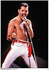 Queen freddie mercury usato  Spedito ovunque in Italia 