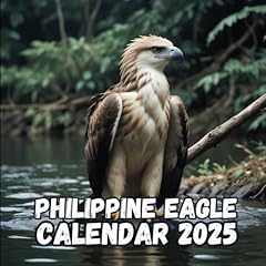 Philippine eagle 2025 for sale  Delivered anywhere in USA 