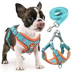 Rennaio dog harness for sale  Delivered anywhere in USA 
