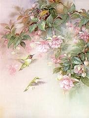 Lena liu hummingbirds for sale  Delivered anywhere in USA 