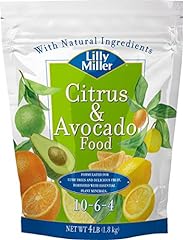 Lilly miller citrus for sale  Delivered anywhere in USA 