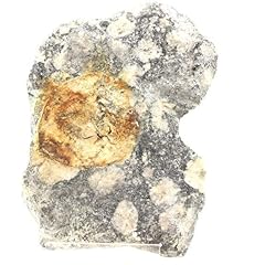 Diorite orbiculaire 2162.20 d'occasion  Livré partout en France