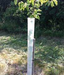 Miracle tree tube for sale  Delivered anywhere in USA 