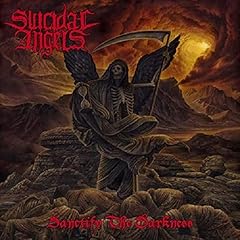 Sanctify the darkness gebraucht kaufen  Wird an jeden Ort in Deutschland
