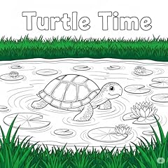 Turtle time gebraucht kaufen  Wird an jeden Ort in Deutschland