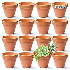 Mini Terracotta Plant Pots (8cm) Small Plant and Flower for sale  Delivered anywhere in UK