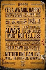 Harry potter poster for sale  Delivered anywhere in UK