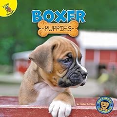 Boxer puppies usato  Spedito ovunque in Italia 