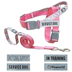 Paworld service dog for sale  Delivered anywhere in USA 