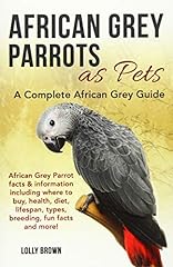 African grey parrots for sale  Delivered anywhere in UK