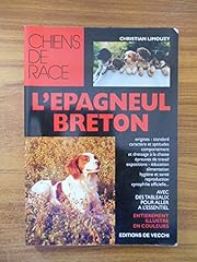 épagneul breton d'occasion  Livré partout en Belgiqu