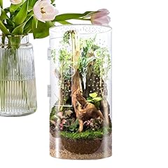 Sprungspinnengehäuse arboreal gebraucht kaufen  Wird an jeden Ort in Deutschland