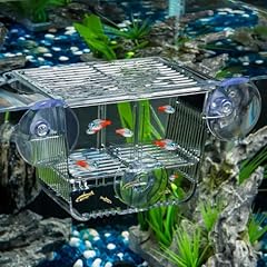 Pawfly aquarium fish for sale  Delivered anywhere in UK