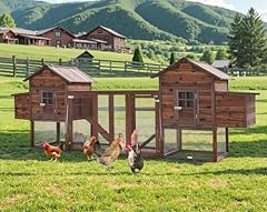 Outdoor 160 chicken for sale  Delivered anywhere in USA 