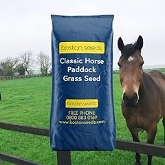 Boston seeds grass for sale  Delivered anywhere in UK
