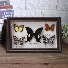 Yosoo framed butterfly for sale  Delivered anywhere in UK