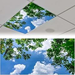 Pack fluorescent light for sale  Delivered anywhere in USA 