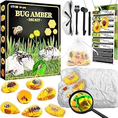 Amber gemstone dig for sale  Delivered anywhere in UK