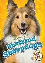 Shetland sheepdogs d'occasion  Livré partout en France