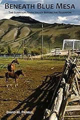 Beneath blue mesa for sale  Delivered anywhere in USA 