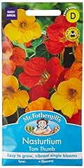 Fothergill 11723 flower for sale  Delivered anywhere in UK