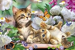 Verspielte katzenbabys kinderp gebraucht kaufen  Wird an jeden Ort in Deutschland