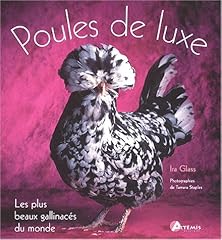 Poules luxe beaux d'occasion  Livré partout en Belgiqu