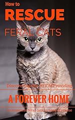 Rescue feral cats for sale  Delivered anywhere in USA 